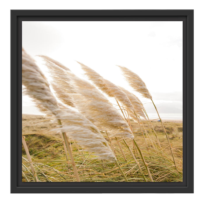 Schönes Schilf in den Dünen Schattenfugenrahmen Quadratisch 40x40