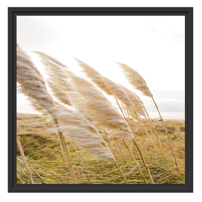 Schönes Schilf in den Dünen Schattenfugenrahmen Quadratisch 55x55