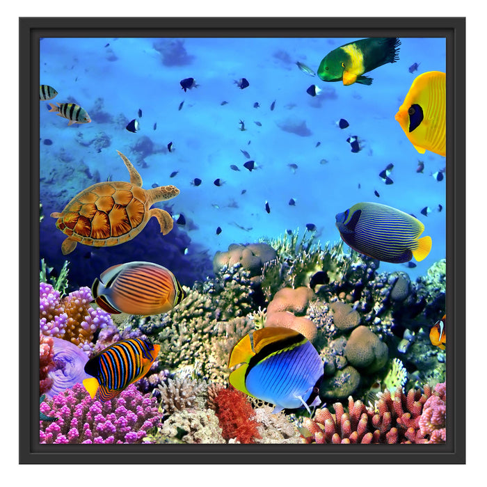 Fische über Korallenriff Schattenfugenrahmen Quadratisch 55x55