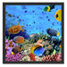 Fische über Korallenriff Schattenfugenrahmen Quadratisch 55x55
