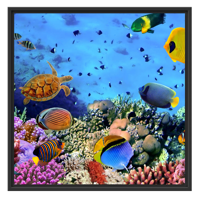 Fische über Korallenriff Schattenfugenrahmen Quadratisch 70x70