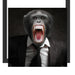 Wütender Affe im Anzug Schattenfugenrahmen Quadratisch 40x40