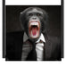 Wütender Affe im Anzug Schattenfugenrahmen Quadratisch 55x55