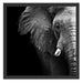 Elefant Porträ B&W Schattenfugenrahmen Quadratisch 55x55
