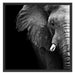 Elefant Porträ B&W Schattenfugenrahmen Quadratisch 70x70