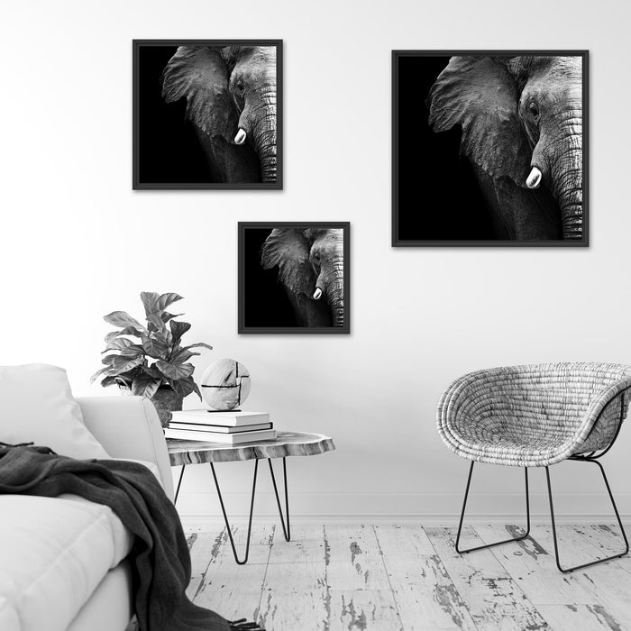 Elefant Porträ B&W Quadratisch Schattenfugenrahmen Wohnzimmer