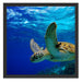 Schildkröte im Riff Schattenfugenrahmen Quadratisch 55x55