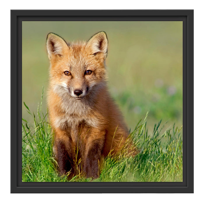 Kleiner Fuchs Schattenfugenrahmen Quadratisch 40x40