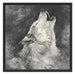 Heulender Wolf Kunst Schattenfugenrahmen Quadratisch 70x70
