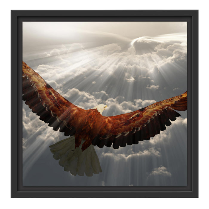 Adler über den Wolken Schattenfugenrahmen Quadratisch 40x40