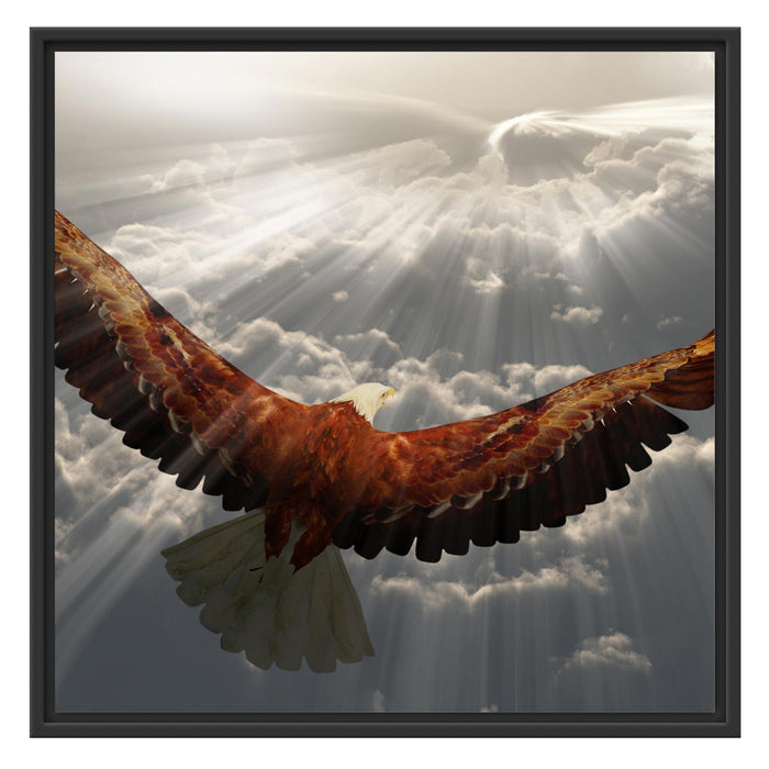 Adler über den Wolken Schattenfugenrahmen Quadratisch 70x70