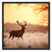 Hirsch im Sonnenuntergang Schattenfugenrahmen Quadratisch 70x70