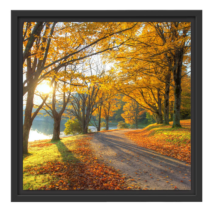 Sonniger Park am See Schattenfugenrahmen Quadratisch 40x40