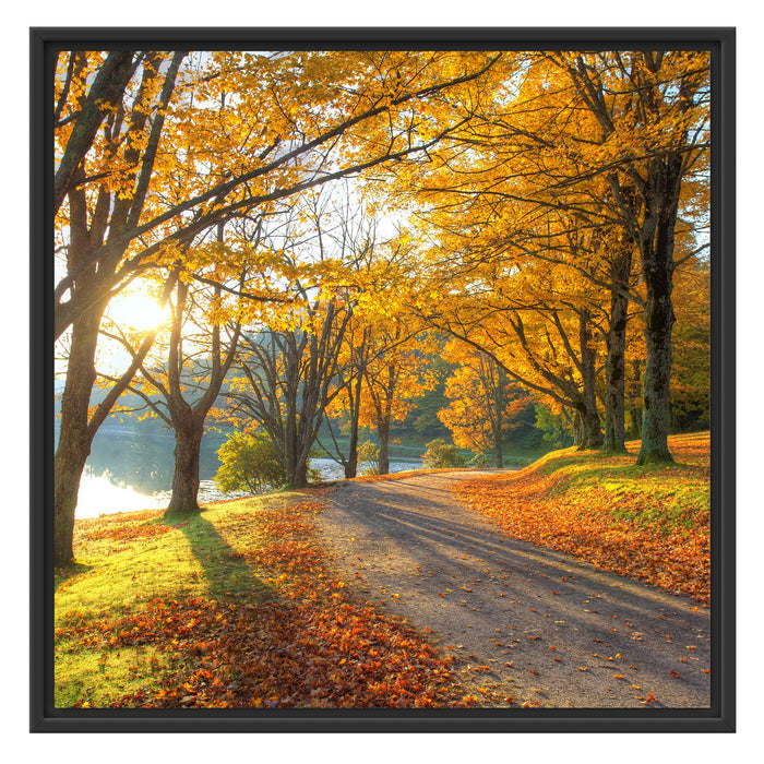 Sonniger Park am See Schattenfugenrahmen Quadratisch 70x70