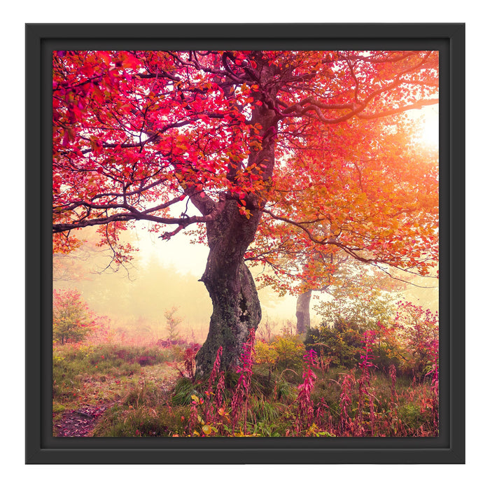 Ruhige Herbstlandschaft Schattenfugenrahmen Quadratisch 40x40