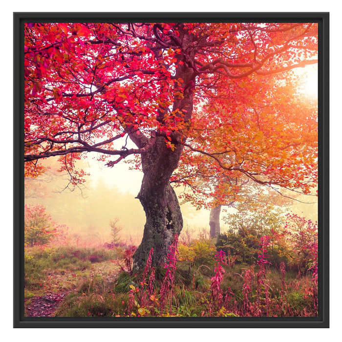 Ruhige Herbstlandschaft Schattenfugenrahmen Quadratisch 70x70