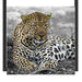 schöner Leopard liegt im Laub Schattenfugenrahmen Quadratisch 55x55