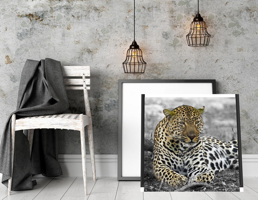 schöner Leopard liegt im Laub Quadratisch Schattenfugenrahmen Dekovorschlag