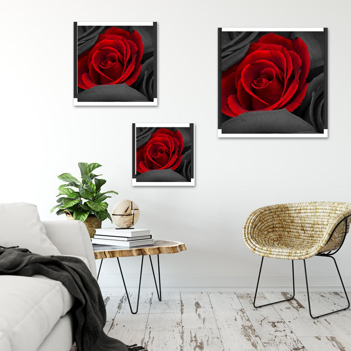 romantische rote Rosen Quadratisch Schattenfugenrahmen Wohnzimmer