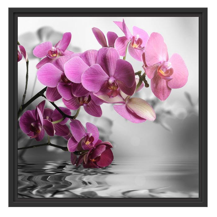 Orchideenblüten über Wasser Schattenfugenrahmen Quadratisch 55x55