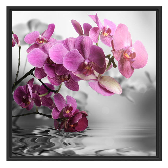 Orchideenblüten über Wasser Schattenfugenrahmen Quadratisch 70x70