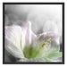 wunderschöne Lilie Schattenfugenrahmen Quadratisch 70x70
