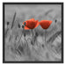 Mohnblumen auf einem Feld Schattenfugenrahmen Quadratisch 70x70