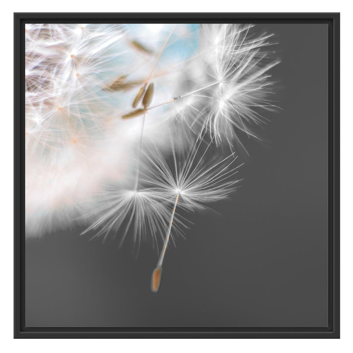 hübsche Pusteblume Schattenfugenrahmen Quadratisch 70x70