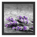 liegender Lavendel auf Stamm Schattenfugenrahmen Quadratisch 40x40