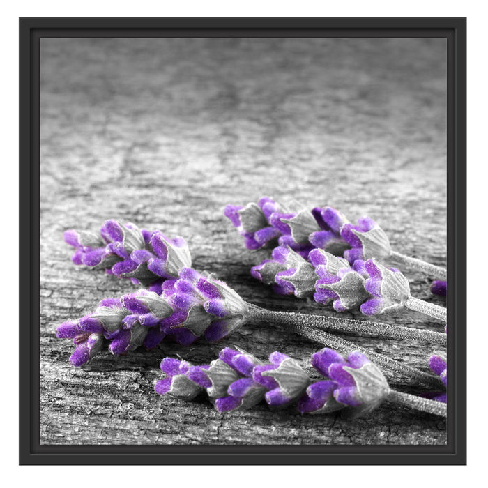 liegender Lavendel auf Stamm Schattenfugenrahmen Quadratisch 55x55