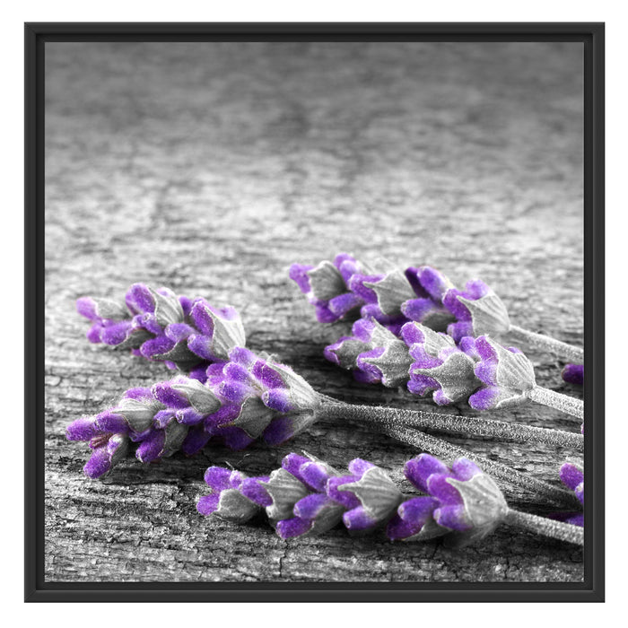 liegender Lavendel auf Stamm Schattenfugenrahmen Quadratisch 70x70