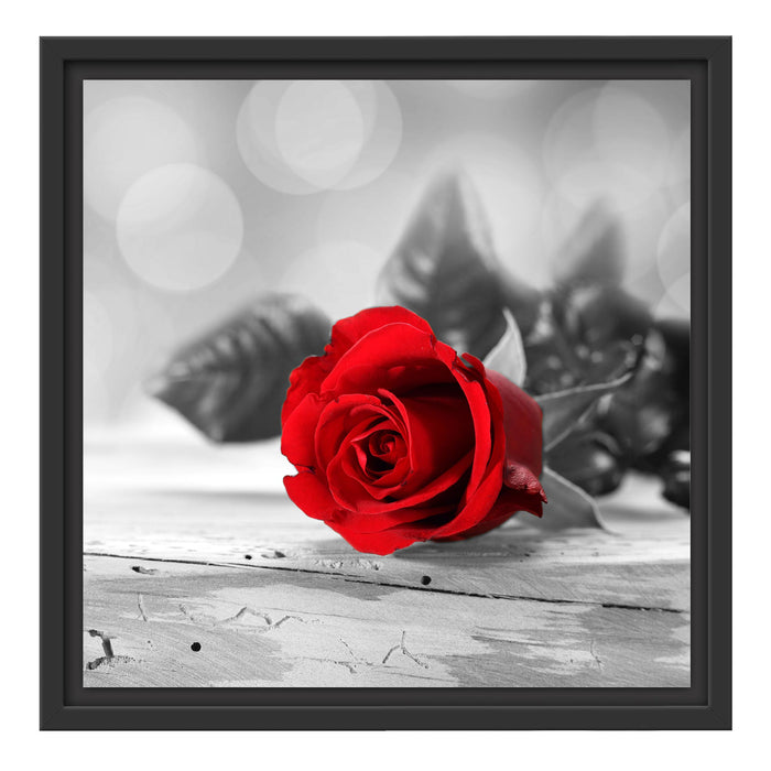 Rote Rose auf Holztisch Schattenfugenrahmen Quadratisch 40x40