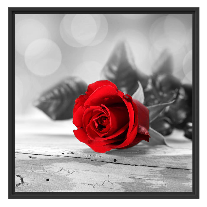 Rote Rose auf Holztisch Schattenfugenrahmen Quadratisch 70x70