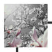 schöne Magnolie Blüten Schattenfugenrahmen Quadratisch 55x55