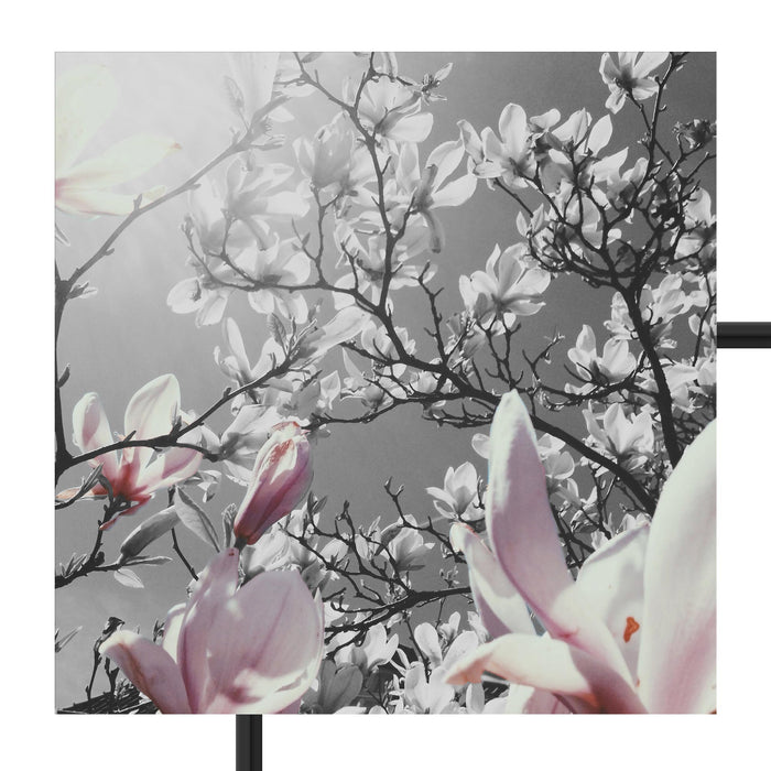 schöne Magnolie Blüten Schattenfugenrahmen Quadratisch 70x70