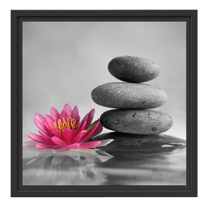 Seerosenblüte vor Zen Steinen Schattenfugenrahmen Quadratisch 40x40