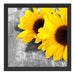 schöne Sonnenblumen auf Holztisch Schattenfugenrahmen Quadratisch 40x40