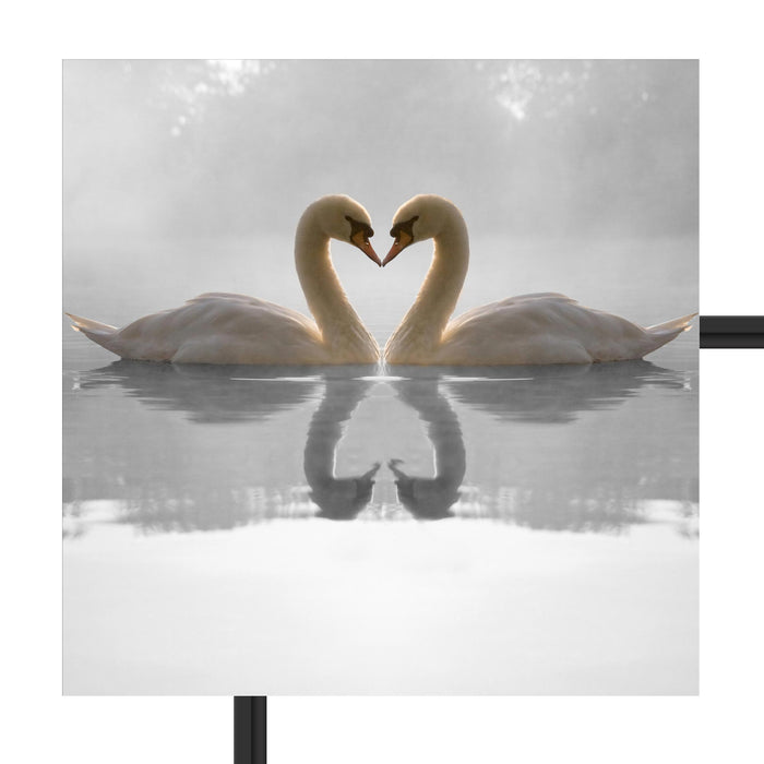verliebte Schwäne auf See Schattenfugenrahmen Quadratisch 55x55
