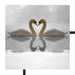 verliebte Schwäne auf See Schattenfugenrahmen Quadratisch 70x70