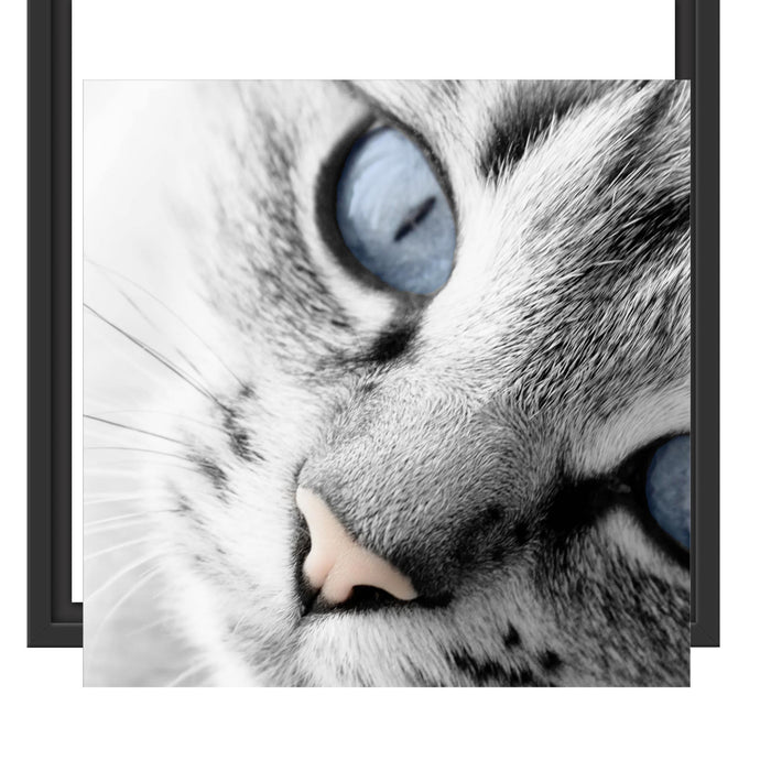 schöne Katzenaugen Schattenfugenrahmen Quadratisch 40x40