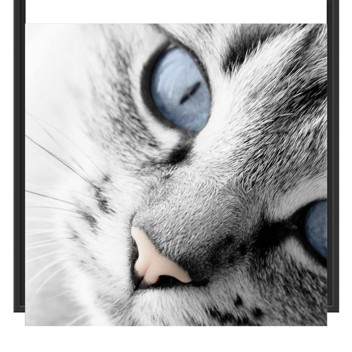 schöne Katzenaugen Schattenfugenrahmen Quadratisch 70x70