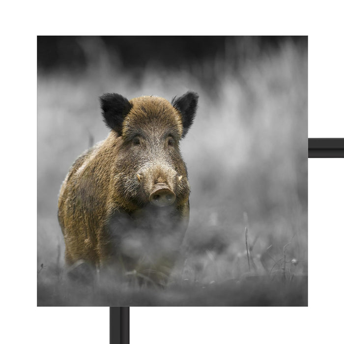 einsames Wildschwein im Wald Schattenfugenrahmen Quadratisch 40x40