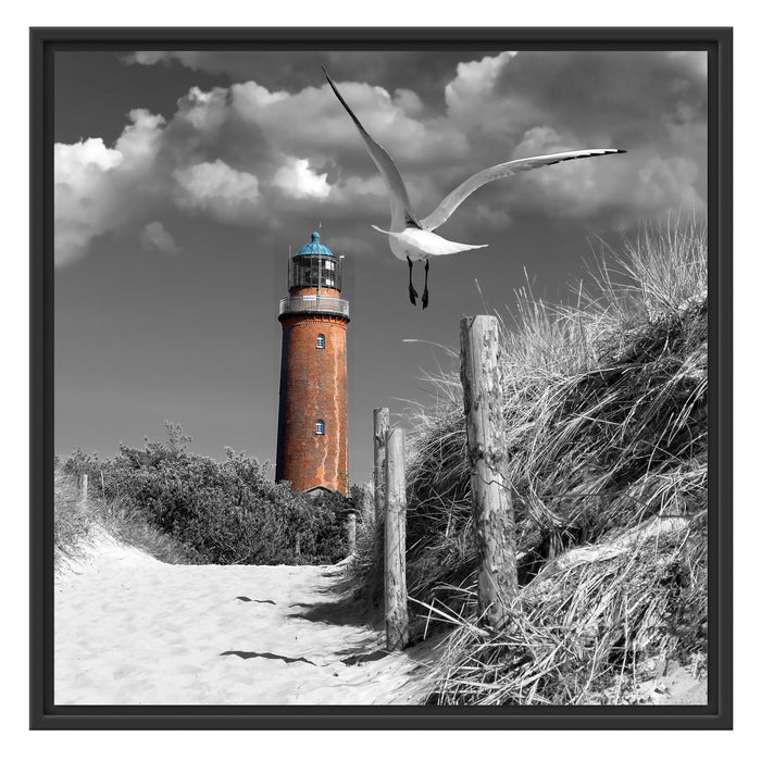 Leuchtturm mit Möwe an Strandweg Schattenfugenrahmen Quadratisch 70x70