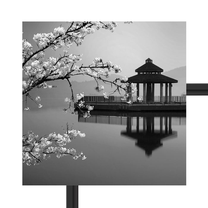 Kirschbaum an See B&W Schattenfugenrahmen Quadratisch 40x40