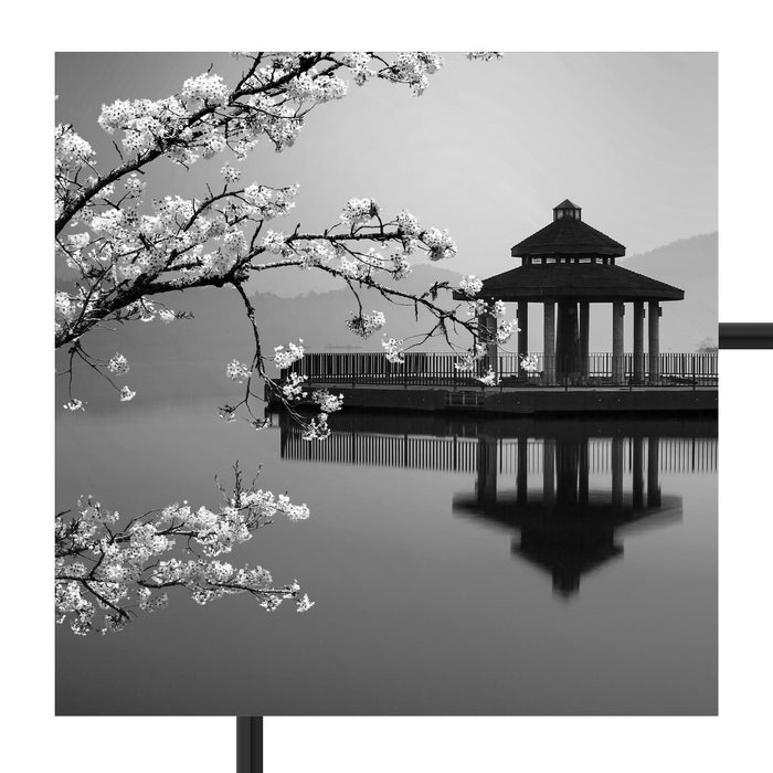 Kirschbaum an See B&W Schattenfugenrahmen Quadratisch 70x70