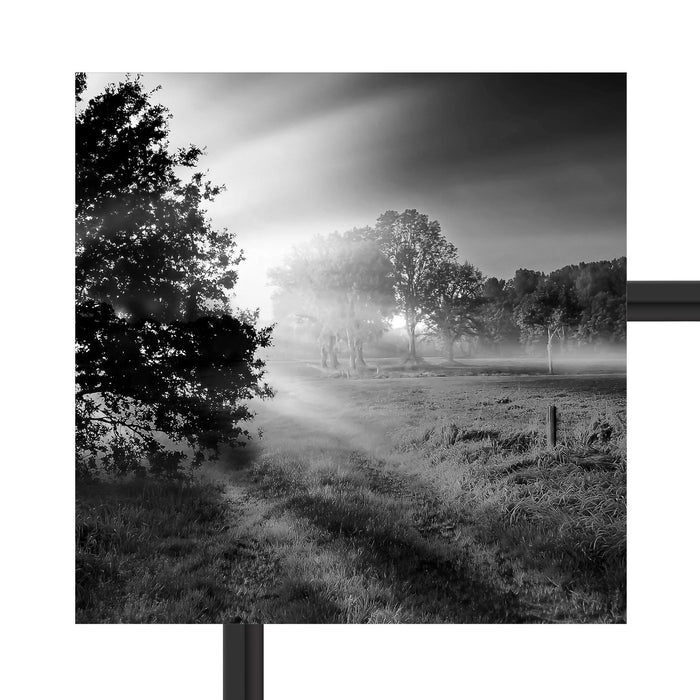 schöne Lichtung im Wald Schattenfugenrahmen Quadratisch 40x40