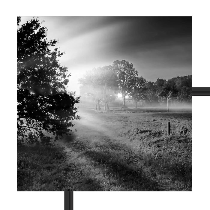 schöne Lichtung im Wald Schattenfugenrahmen Quadratisch 55x55