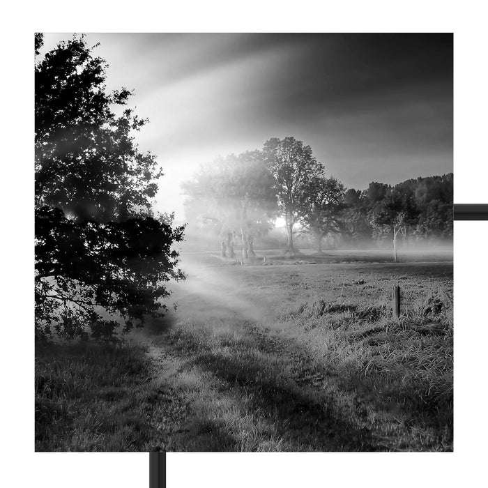 schöne Lichtung im Wald Schattenfugenrahmen Quadratisch 70x70