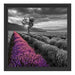Lavendelfeld mit Baum Schattenfugenrahmen Quadratisch 40x40