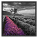 Lavendelfeld mit Baum Schattenfugenrahmen Quadratisch 70x70